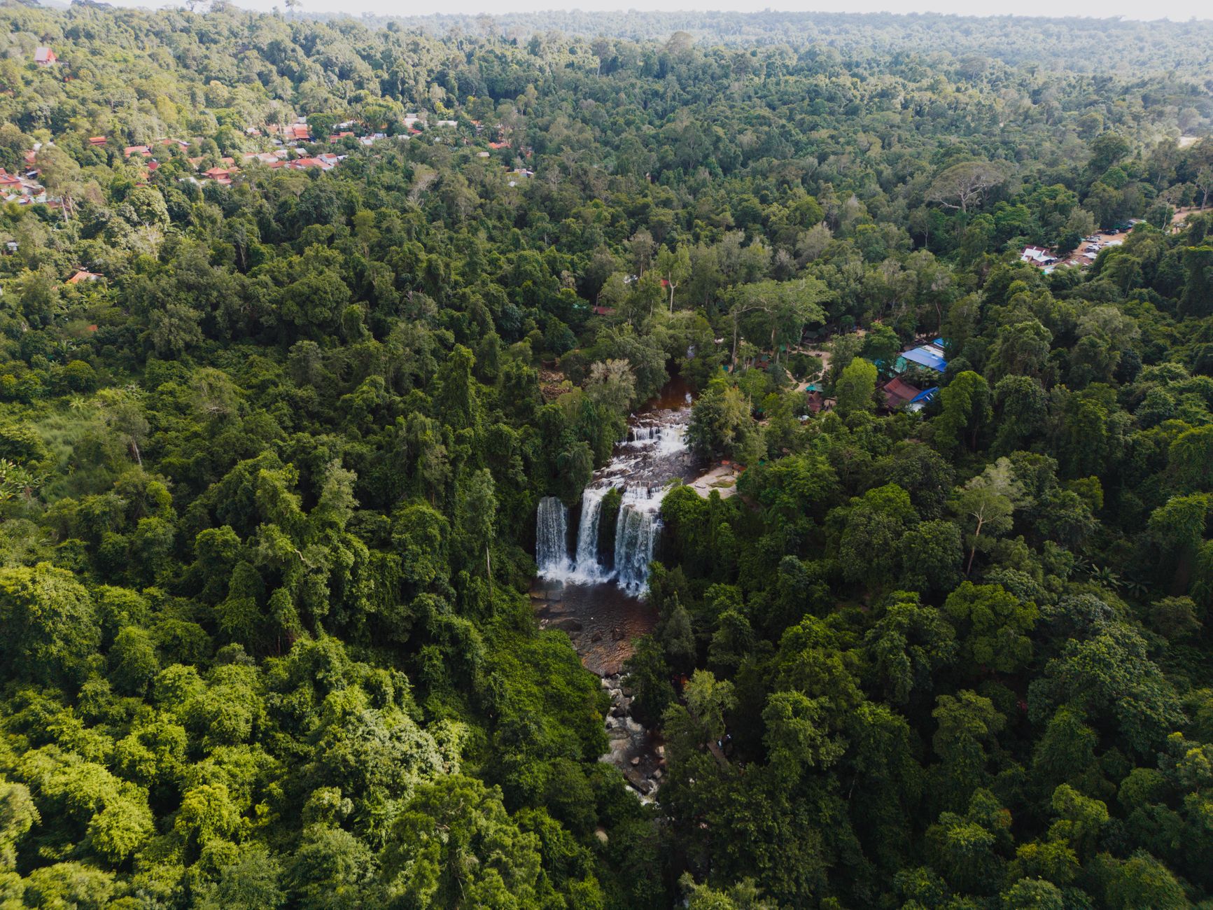 មណ្ឌលគិរី៖ ខ្ពង់រាបព្រៃរបស់កម្ពុជា ដែលម្រេចដុះក្នុងព្រៃ