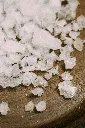 charlesdeluvio-sSLI7KXPwzU-unsplash.webp
