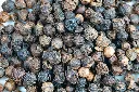 gabriel-mihalcea-fyaSkCXtlOQ-unsplash.webp